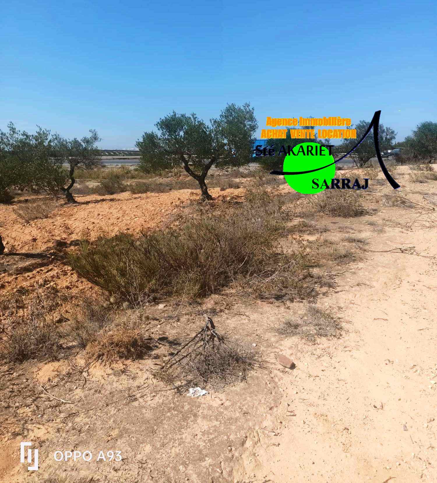 Akouda&nbsp;Chatt Meriem&nbsp;Terrain&nbsp;Terrain agricole&nbsp;Lot d'invesstisement 5615m sur l'autoroute fokaia