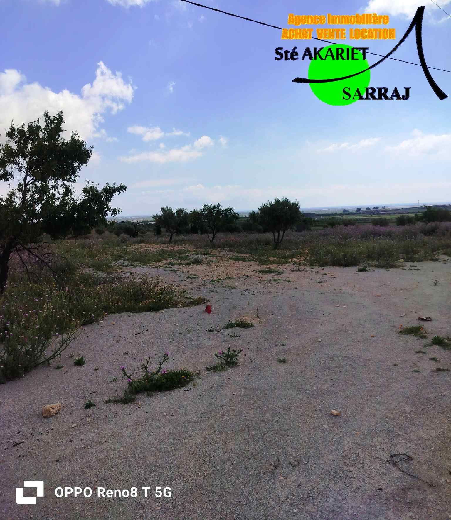 Bou Ficha&nbsp;Sidi Khelifa&nbsp;Terrain&nbsp;Terrain agricole&nbsp;Terrain 14000m pr�s maisons d h�tes k�n � bouficha