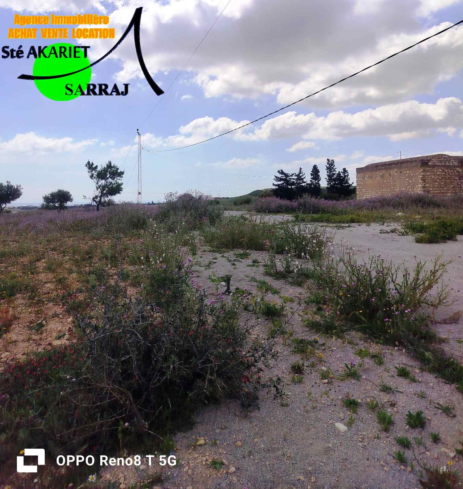 Bou Ficha&nbsp;Sidi Khelifa&nbsp;Terrain&nbsp;Terrain agricole&nbsp;Terrain 14000m pr�s maisons d h�tes k�n � bouficha