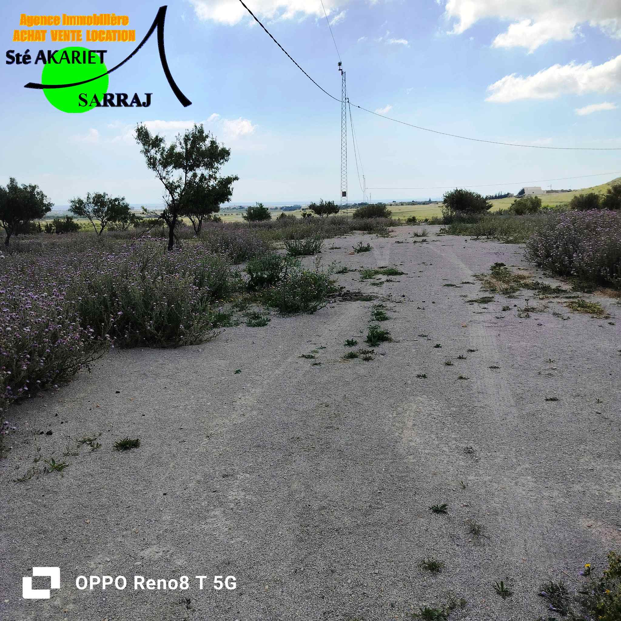 Bou Ficha&nbsp;Sidi Khelifa&nbsp;Terrain&nbsp;Terrain agricole&nbsp;Terrain 14000m pr�s maisons d h�tes k�n � bouficha