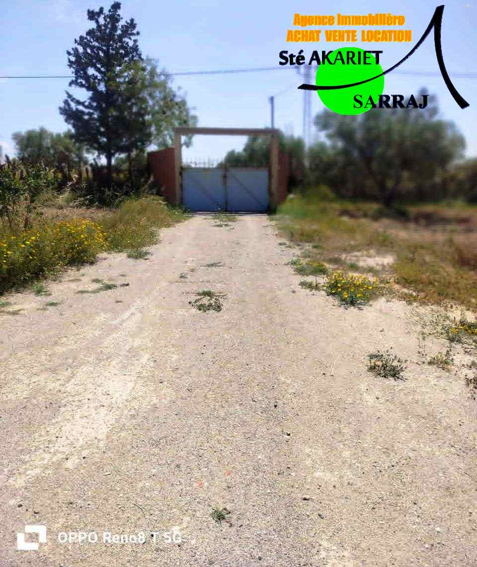 Sidi Bou Ali&nbsp;Sidi Bou Ali&nbsp;Terrain&nbsp;Terrain agricole&nbsp;Occasion senia cl�tur� 14252m � sidi bouali