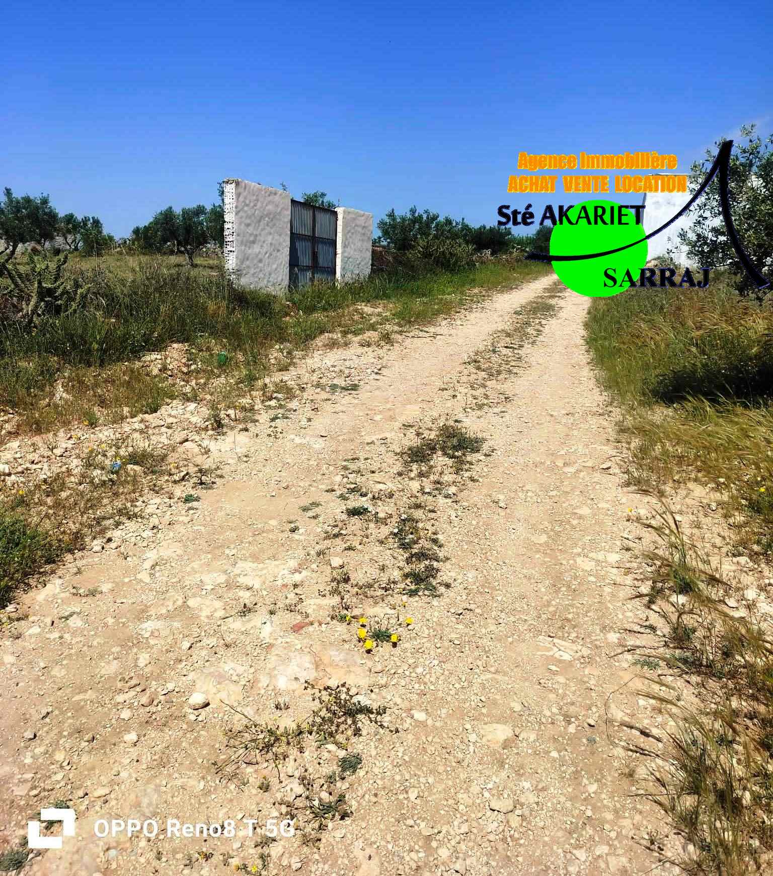 Sidi Bou Ali&nbsp;Sidi Bou Ali&nbsp;Terrain&nbsp;Terrain agricole&nbsp;Terrain 4 hectare et 800m � sidi bouali vers knena