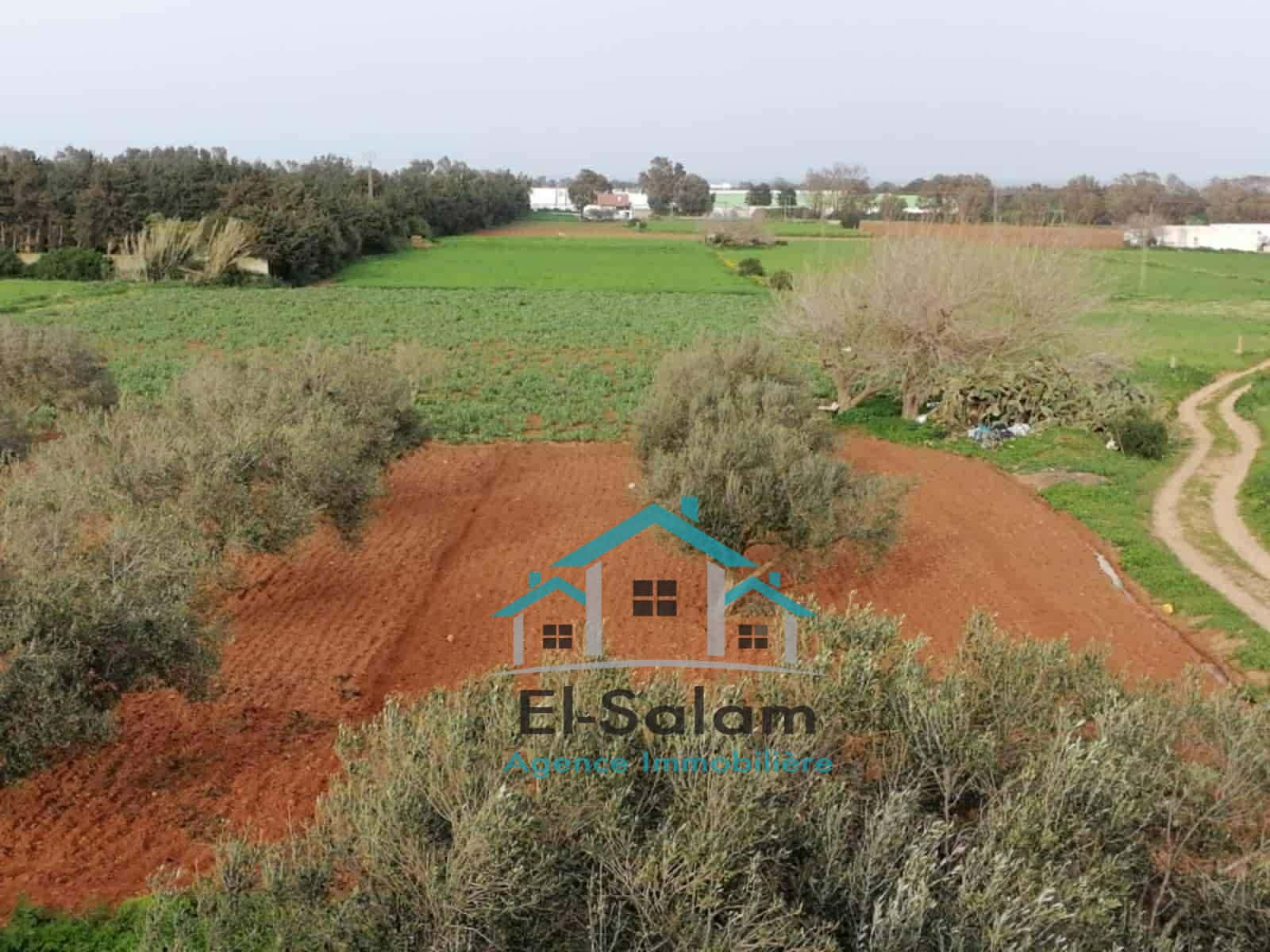 Kelibia&nbsp;Dar Allouche&nbsp;Terrain&nbsp;Terrain agricole&nbsp;12700m2 avec deux maisons garage