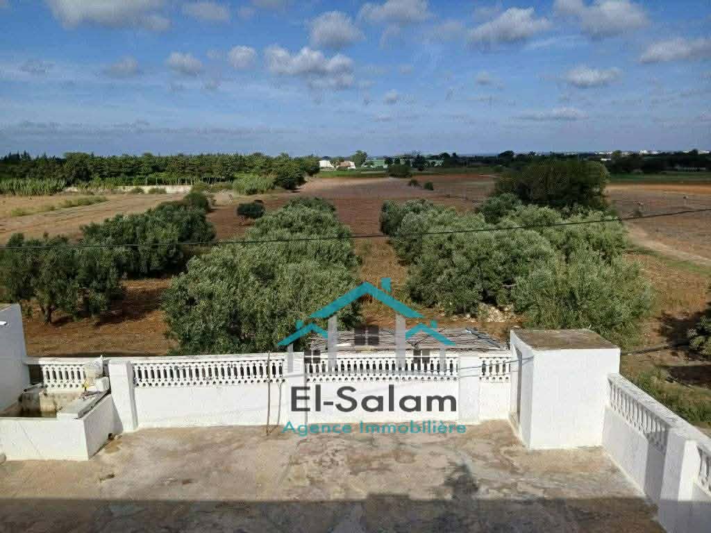 Kelibia&nbsp;Dar Allouche&nbsp;Terrain&nbsp;Terrain agricole&nbsp;12700m2 avec deux maisons garage