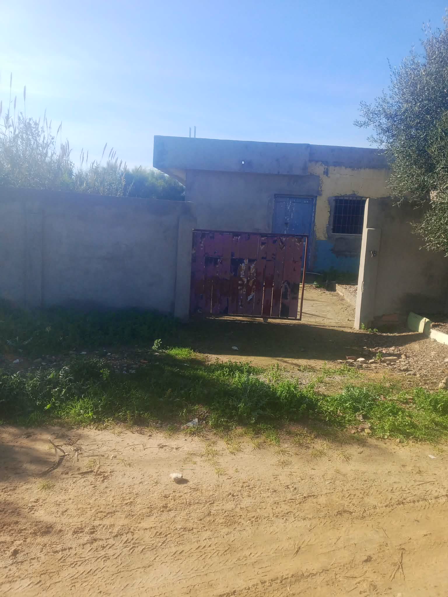 Kelibia&nbsp;Dar Allouche&nbsp;Vente&nbsp;Maisons&nbsp;Maison a kelibia opportunit� a ne pas rat�