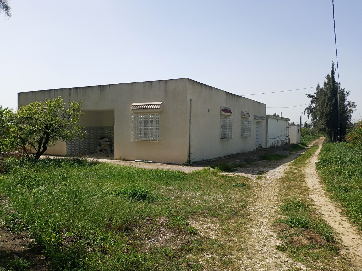 Soliman&nbsp;Bou Charray&nbsp;Terrain&nbsp;Terrain agricole&nbsp;Senia 8 hectares slimene