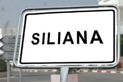 Siliana Sud&nbsp;Siliana&nbsp;Terrain&nbsp;Terrain nu&nbsp;Votre  opportunit� en or a siliana