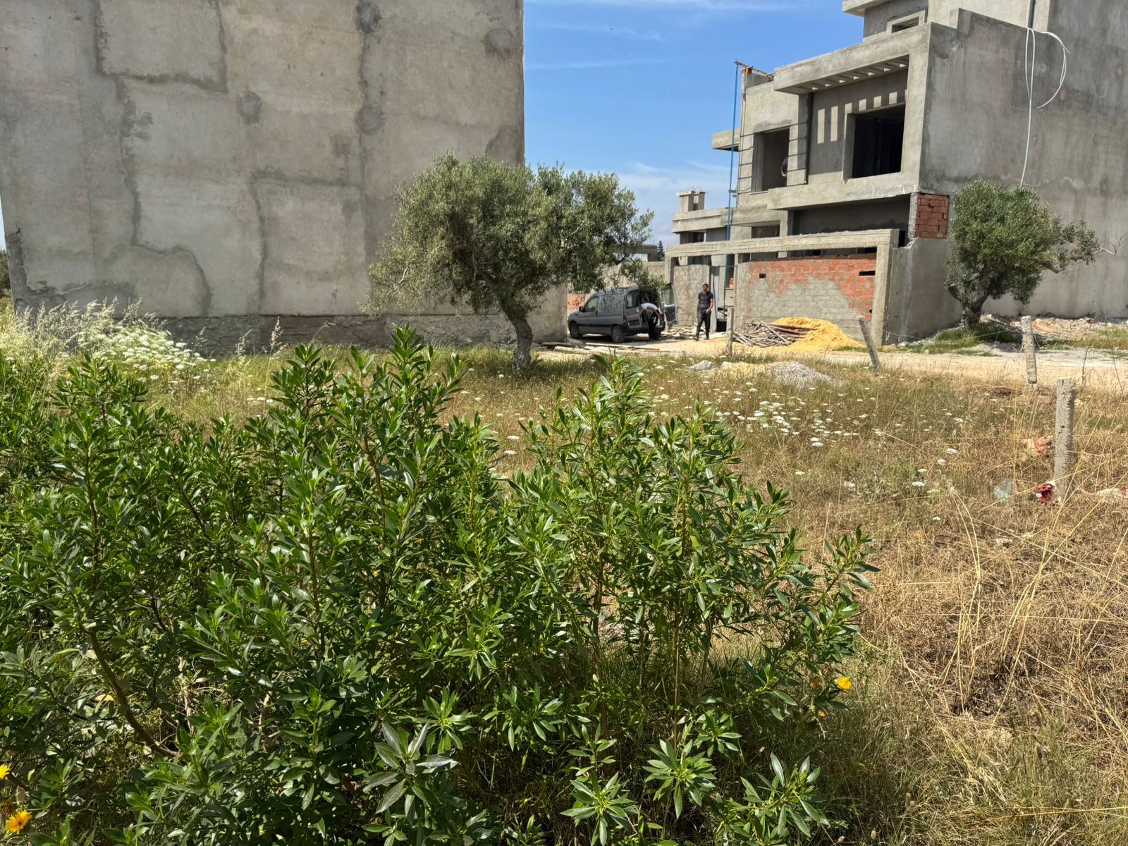 Hammamet&nbsp;Hammamet&nbsp;Terrain&nbsp;Terrain nu&nbsp;Terrain parfait