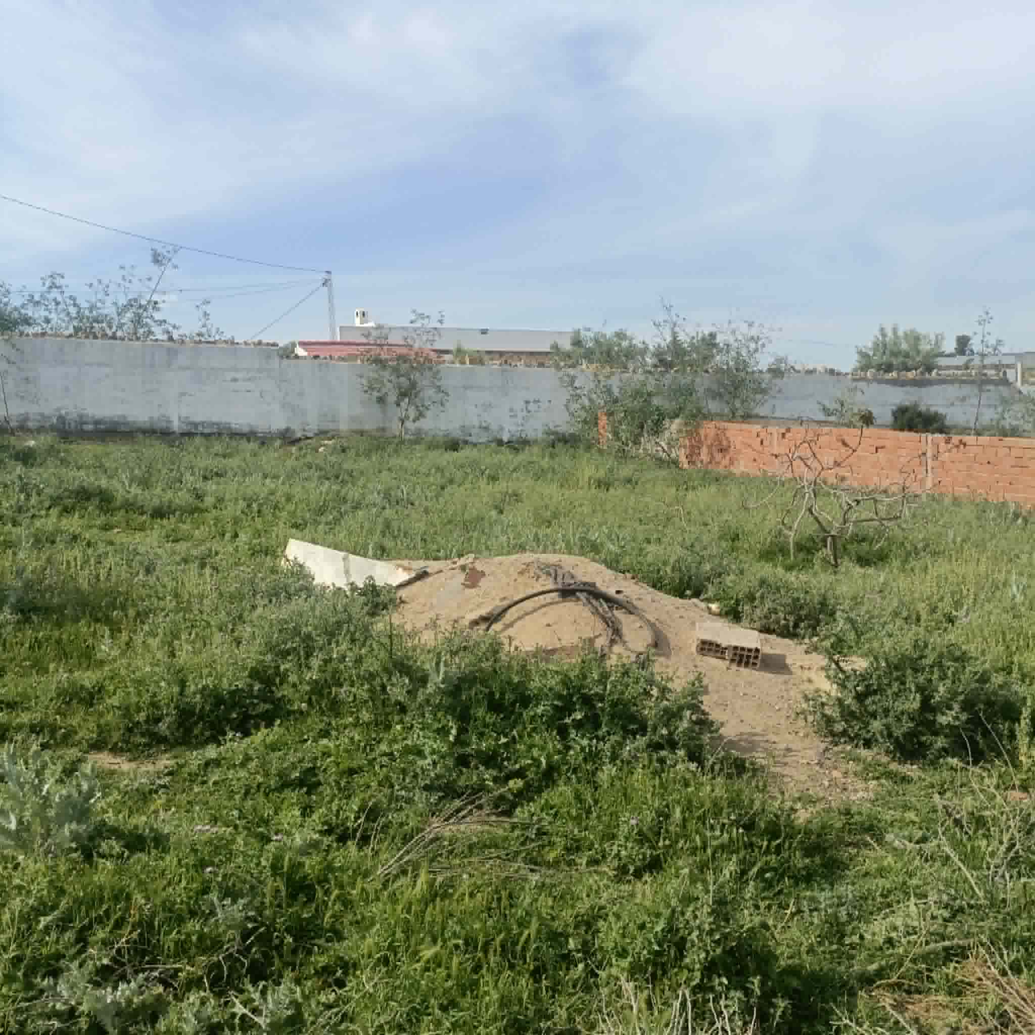 Hammamet&nbsp;Hammamet&nbsp;Terrain&nbsp;Terrain nu&nbsp;Terrain 750m � monchar hammamet sud