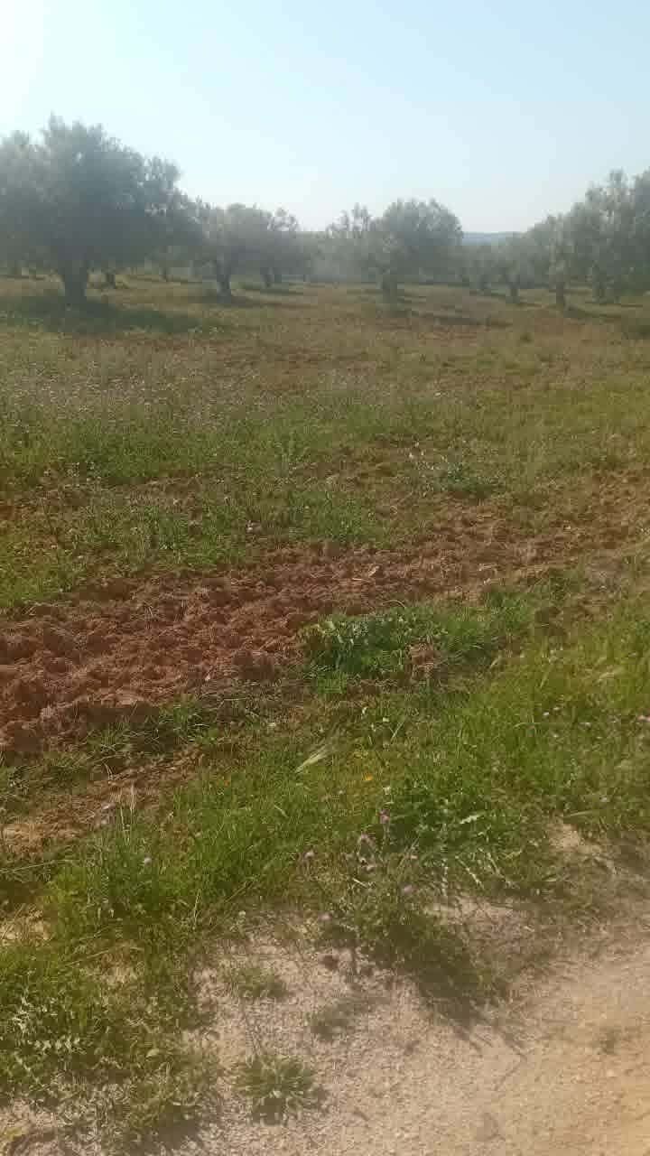 Hammamet&nbsp;Hammamet&nbsp;Terrain&nbsp;Terrain nu&nbsp;Av beau terrain de 1000m � hammamet sud