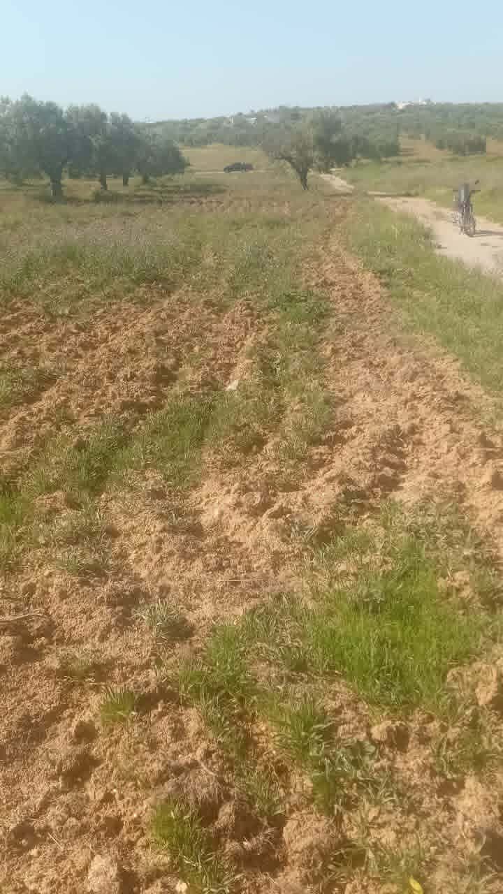 Hammamet&nbsp;Hammamet&nbsp;Terrain&nbsp;Terrain nu&nbsp;Av beau terrain de 1000m � hammamet sud