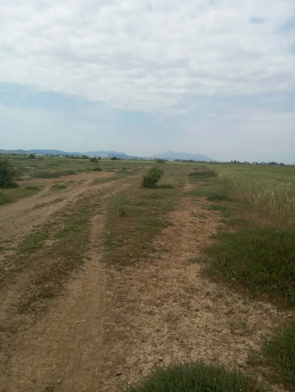 Hammamet&nbsp;Hammamet&nbsp;Terrain&nbsp;Terrain nu&nbsp;Av 9868m loin 500m de la mer � hammamet sud