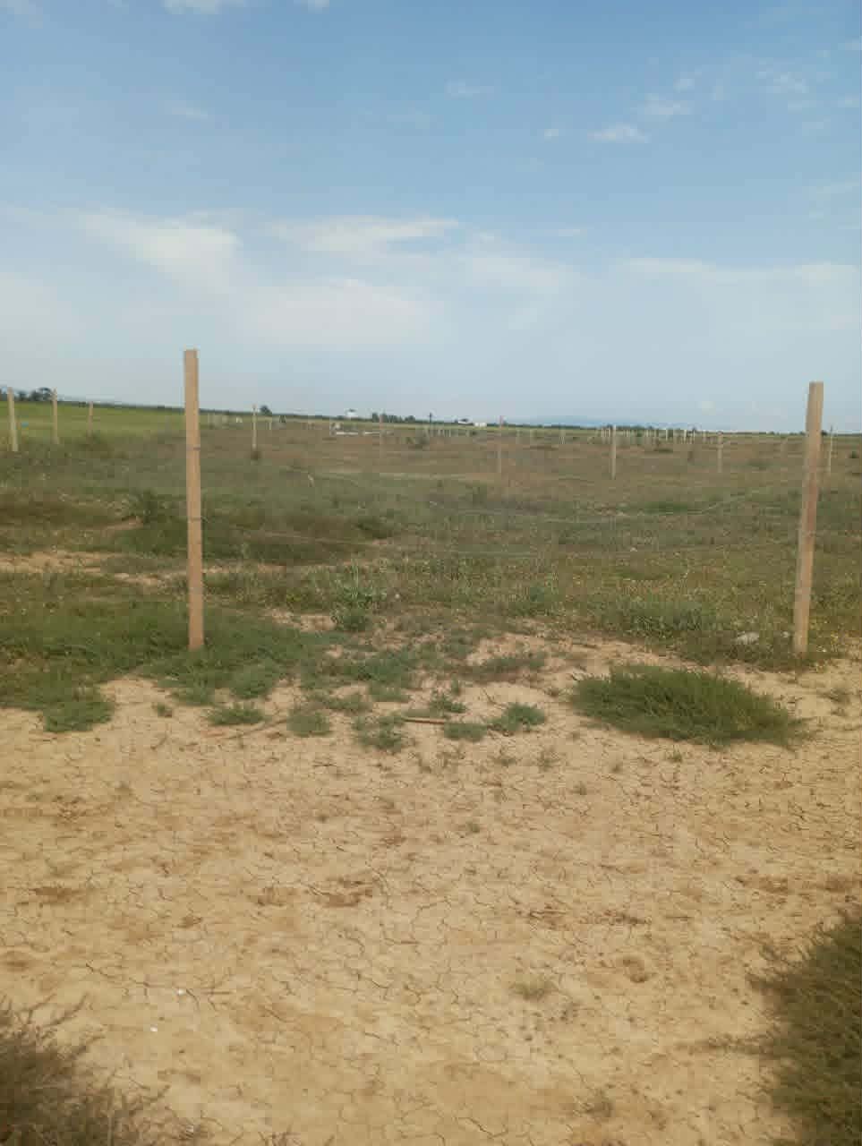 Hammamet&nbsp;Hammamet&nbsp;Terrain&nbsp;Terrain nu&nbsp;Av 9868m loin 500m de la mer � hammamet sud