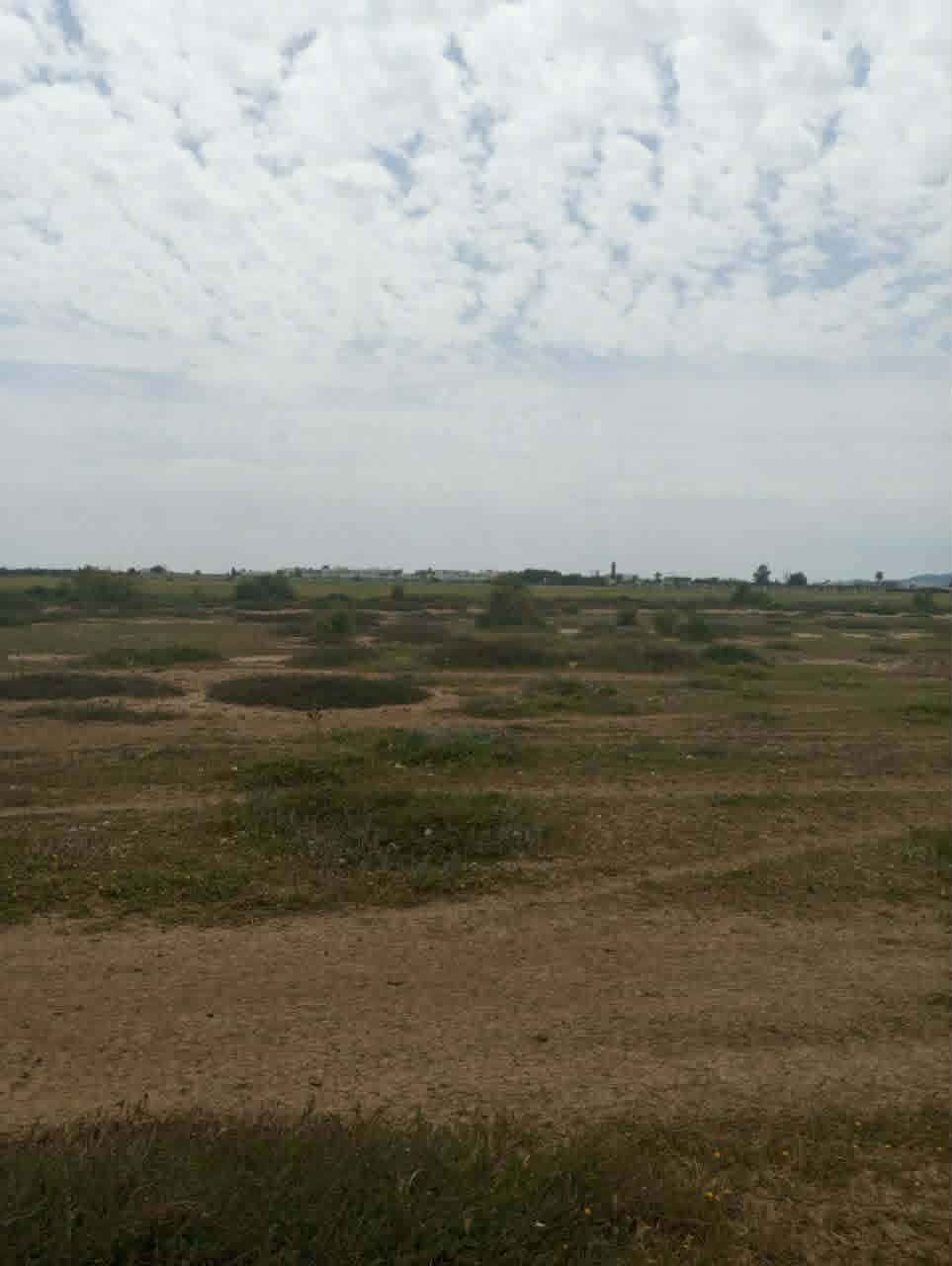 Hammamet&nbsp;Hammamet&nbsp;Terrain&nbsp;Terrain nu&nbsp;Av 9868m loin 500m de la mer � hammamet sud