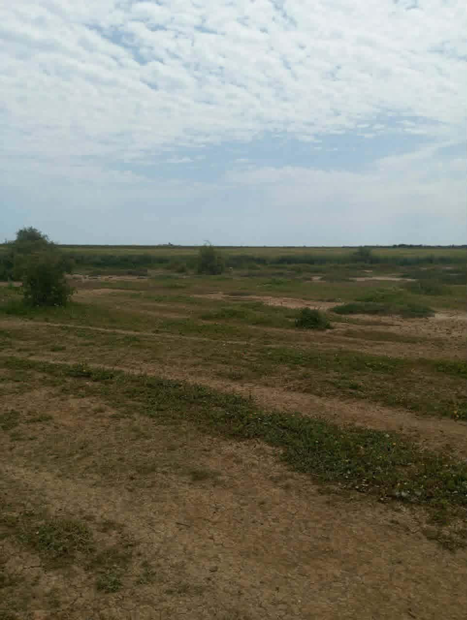 Hammamet&nbsp;Hammamet&nbsp;Terrain&nbsp;Terrain nu&nbsp;Av 9868m loin 500m de la mer � hammamet sud