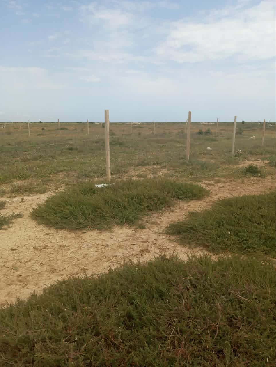 Hammamet&nbsp;Hammamet&nbsp;Terrain&nbsp;Terrain nu&nbsp;Av 9868m loin 500m de la mer � hammamet sud