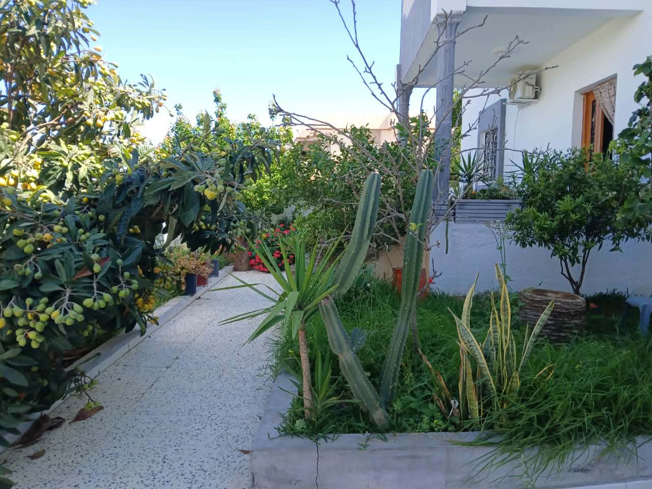 Hammamet&nbsp;Hammamet&nbsp;Vente&nbsp;Maisons&nbsp;Av villa de 500m proche hammamet yasmine