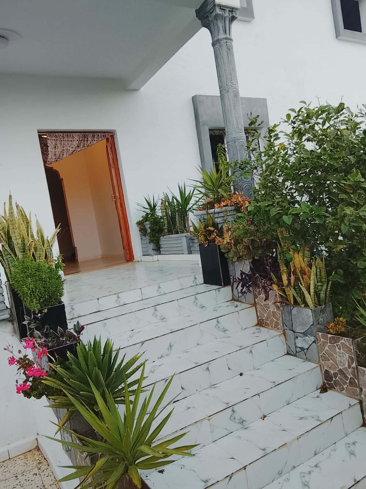 Hammamet&nbsp;Hammamet&nbsp;Vente&nbsp;Maisons&nbsp;Av villa de 500m proche hammamet yasmine