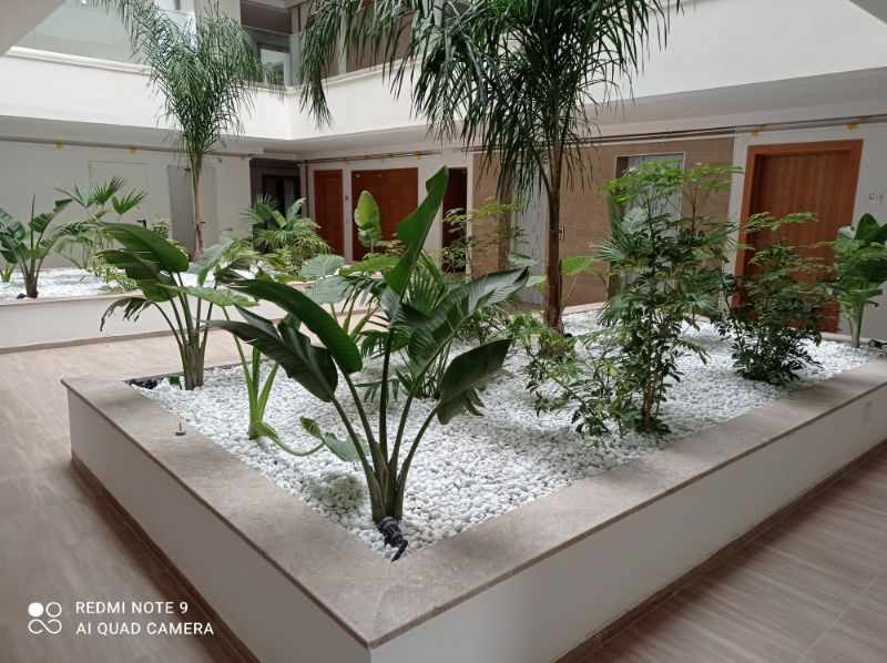 Ariana Ville&nbsp;Cite Ennasr 2&nbsp;Vente&nbsp;Appart. 1 pi�ce&nbsp;S 1 meubl� avec place parking et jardin