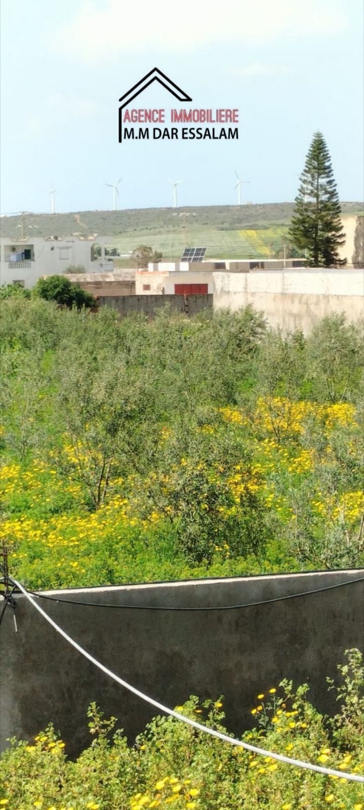 El Haouaria&nbsp;Saheb Jebel&nbsp;Terrain&nbsp;Terrain agricole&nbsp;Terrain agricole contenant une villa