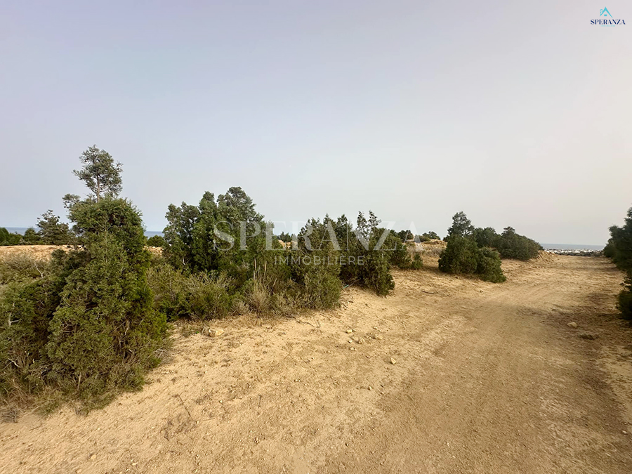 Hammamet&nbsp;Hammamet&nbsp;Vente&nbsp;Surfaces&nbsp;Terrain zac