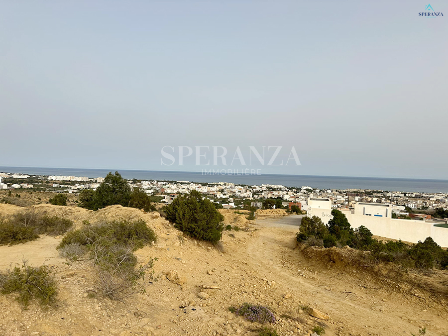 Hammamet&nbsp;Hammamet&nbsp;Vente&nbsp;Surfaces&nbsp;Terrain zac