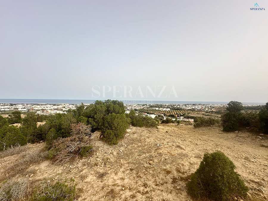Hammamet&nbsp;Hammamet&nbsp;Vente&nbsp;Surfaces&nbsp;Terrain zac