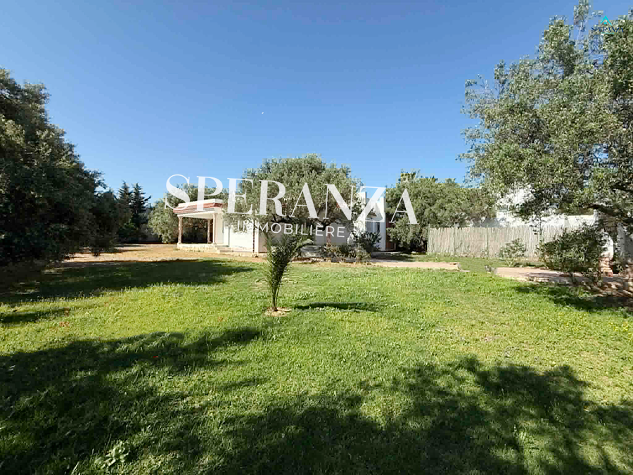 Hammamet&nbsp;Hammamet&nbsp;Location&nbsp;Appart. 3 pi�ces&nbsp;Villa fabio