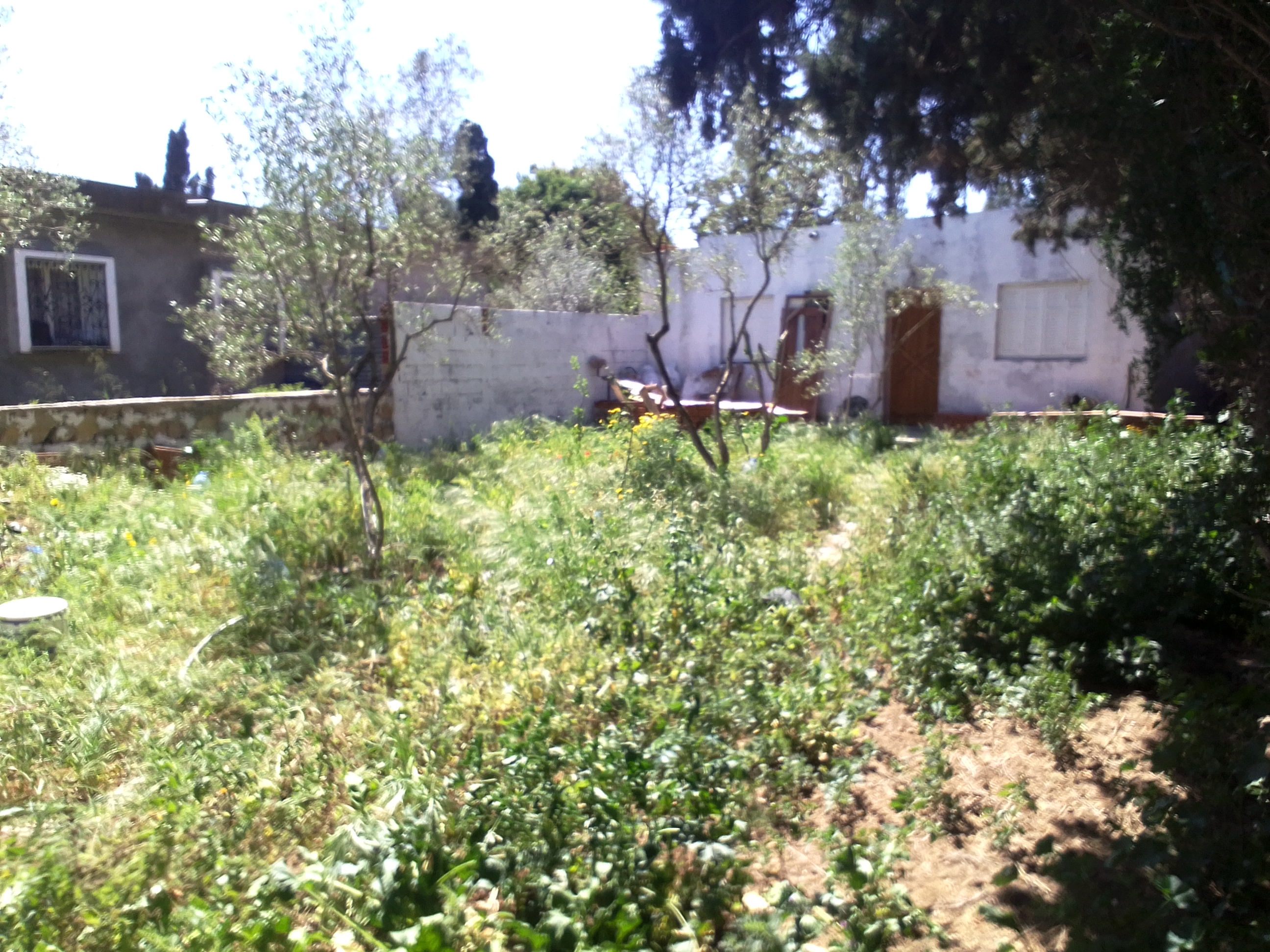 Ras Jebel&nbsp;Cite Kaa El Ballout&nbsp;Vente&nbsp;Surfaces&nbsp;Maison s 2  terrain 310 m 2 route plage