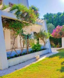 La Marsa&nbsp;Marsa Ennassim&nbsp;Vente&nbsp;Maisons&nbsp;A  villa  s5  la marsa ref699a
