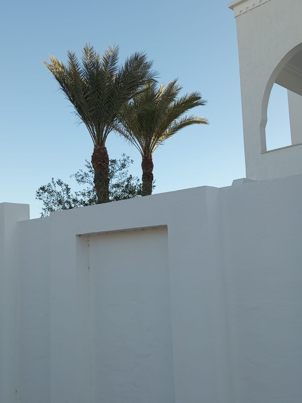 Djerba - Midoun&nbsp;Zone Hoteliere&nbsp;Vente&nbsp;Maisons&nbsp;Deux villas spacieuses