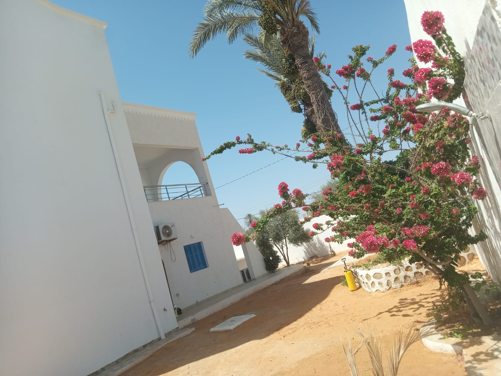 Djerba - Midoun&nbsp;Zone Hoteliere&nbsp;Vente&nbsp;Maisons&nbsp;Deux villas spacieuses