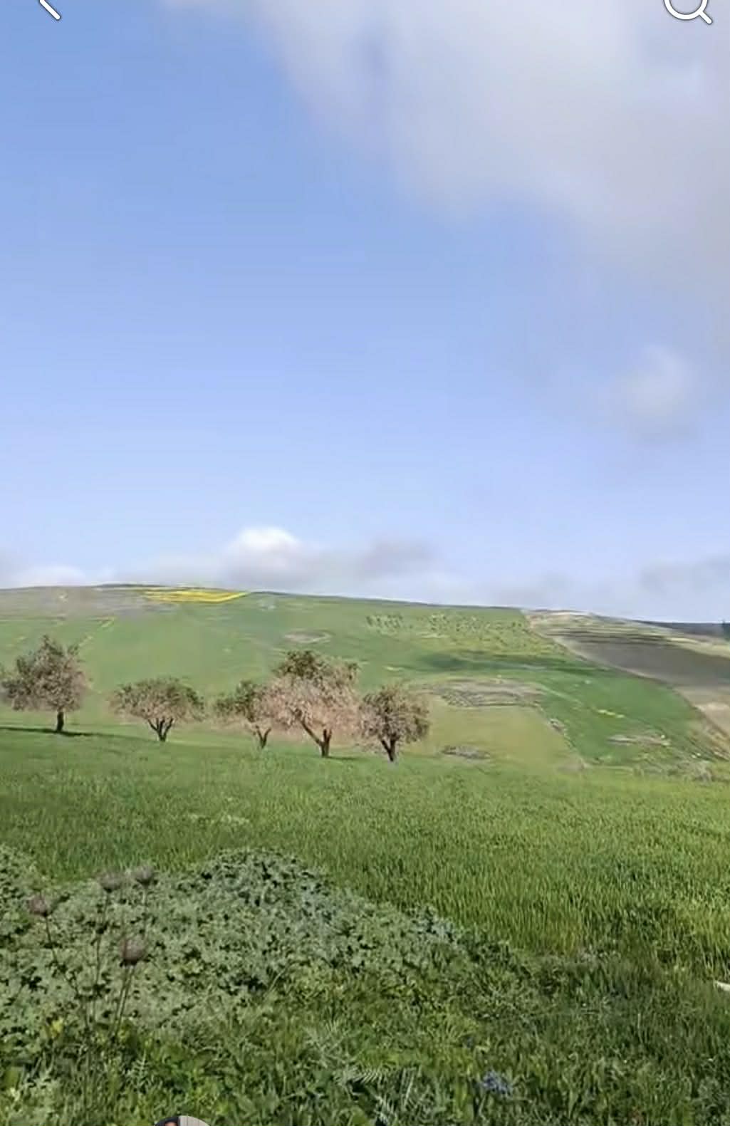 Teboursouk&nbsp;El Faouar&nbsp;Terrain&nbsp;Terrain agricole&nbsp;Terrain agricole