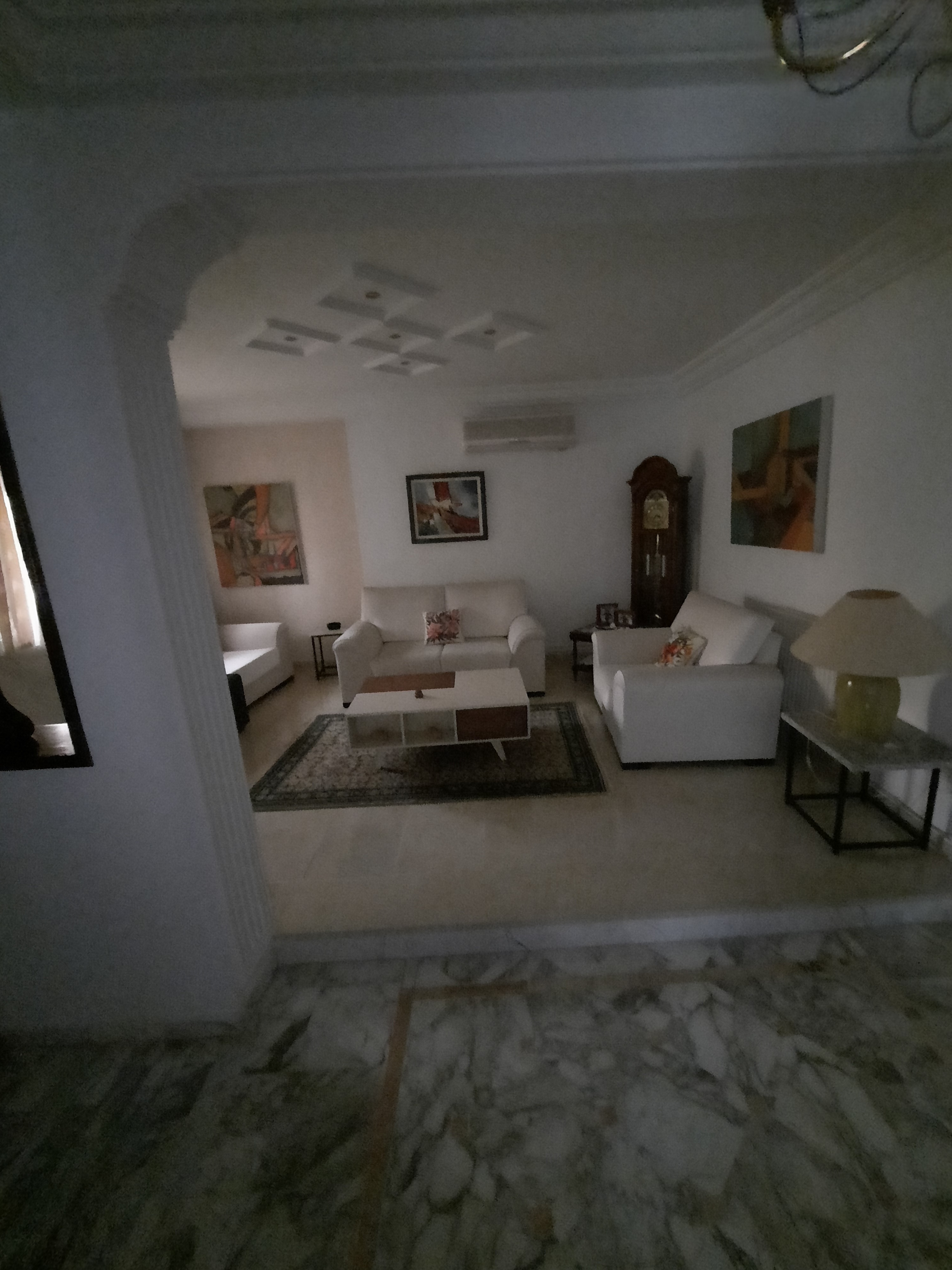 Ariana Ville&nbsp;Cite Ennasr 2&nbsp;Location&nbsp;Maisons&nbsp;Villa spacieuse avec piscine