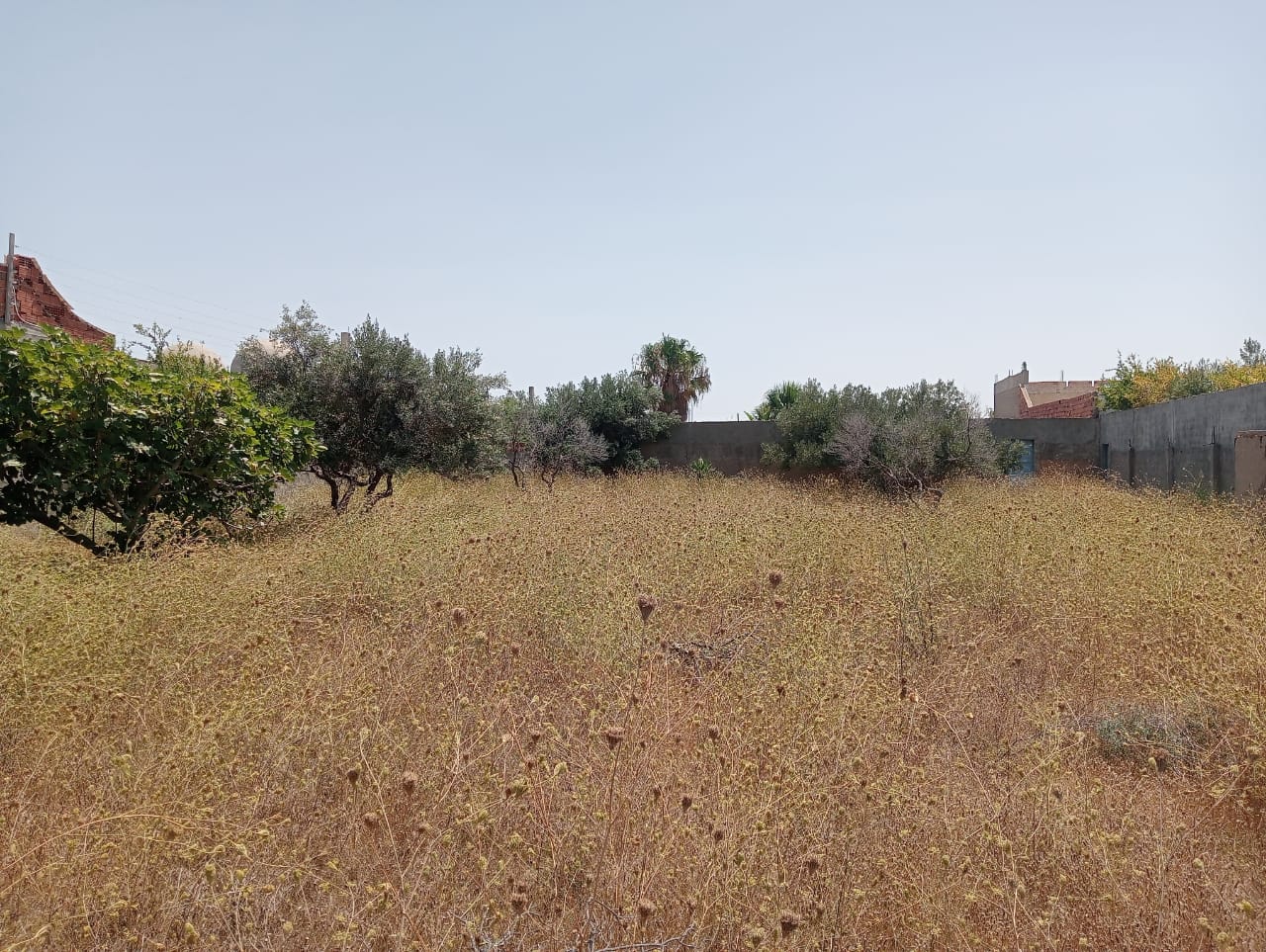 Bekalta&nbsp;Bekalta&nbsp;Terrain&nbsp;Terrain agricole&nbsp;Magnifique domaine � 400m d'une ile vierge