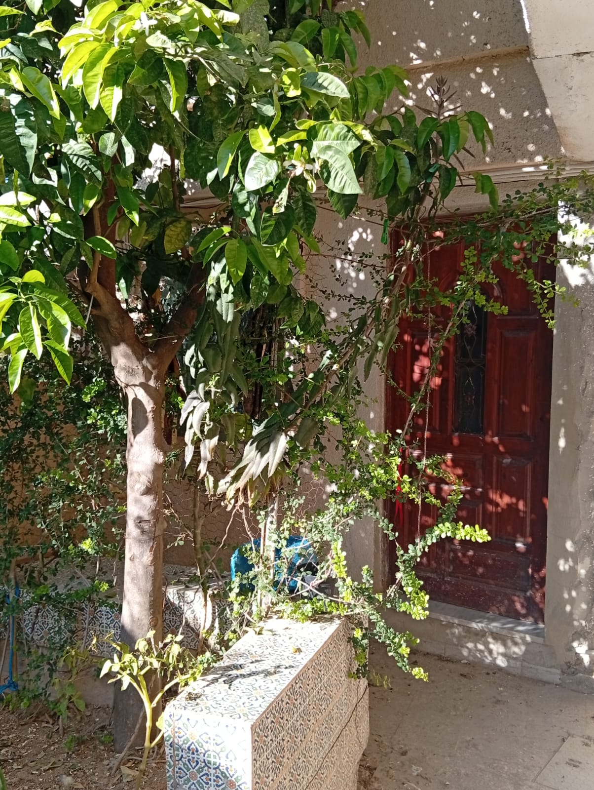 Ariana Ville&nbsp;El Menzah 8&nbsp;Location&nbsp;Appart. 1 pi�ce&nbsp;Un studio s0 jamais habit� � menzah 8