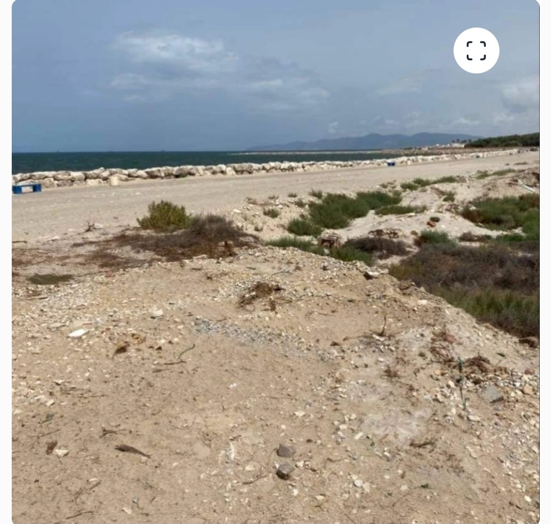 Soliman&nbsp;Soliman&nbsp;Terrain&nbsp;Terrain nu&nbsp;Terrain pied dans l'eau