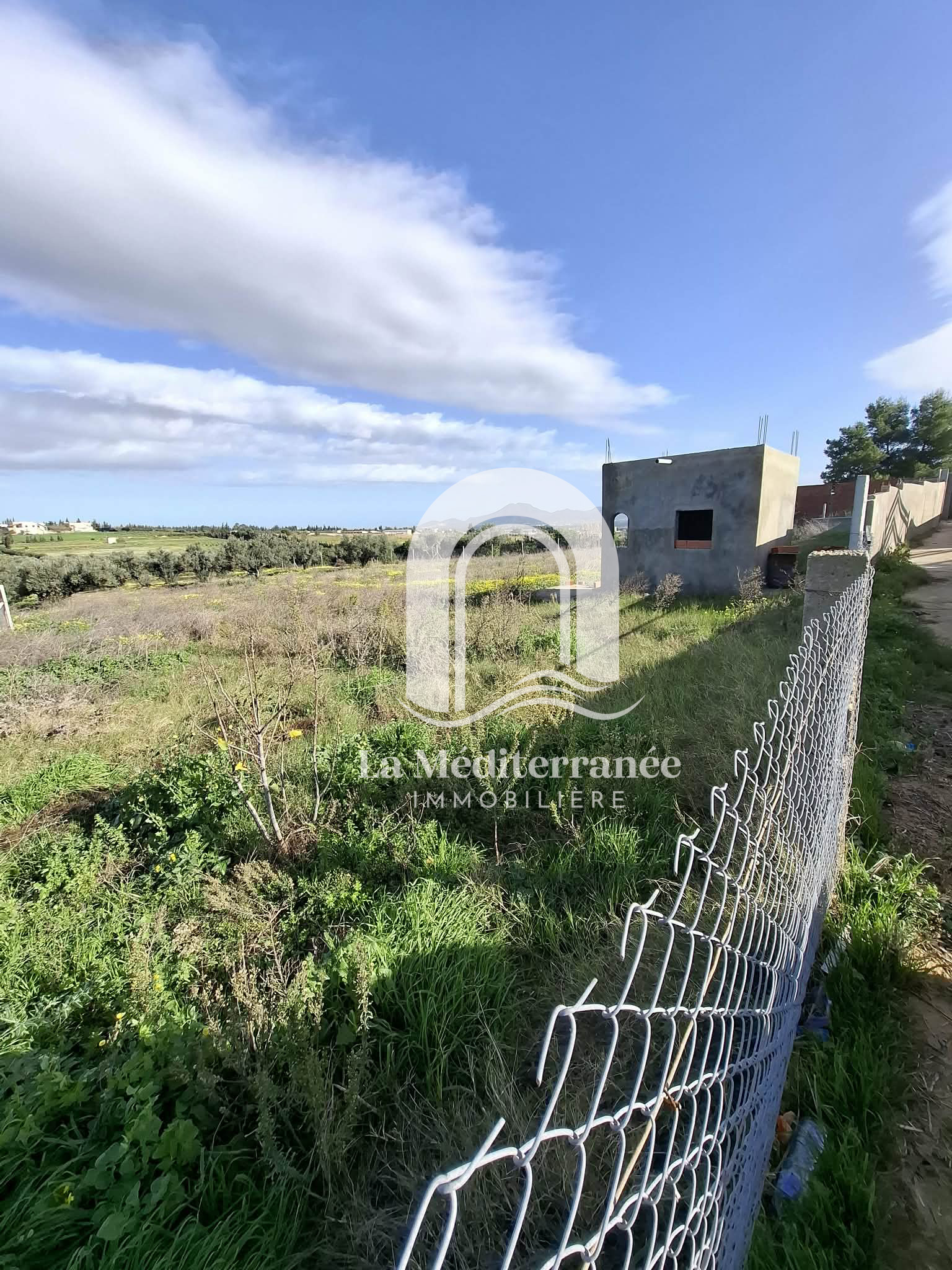 Mornag&nbsp;El Ksibi&nbsp;Terrain&nbsp;Terrain agricole&nbsp;Terrain agricole  mornag