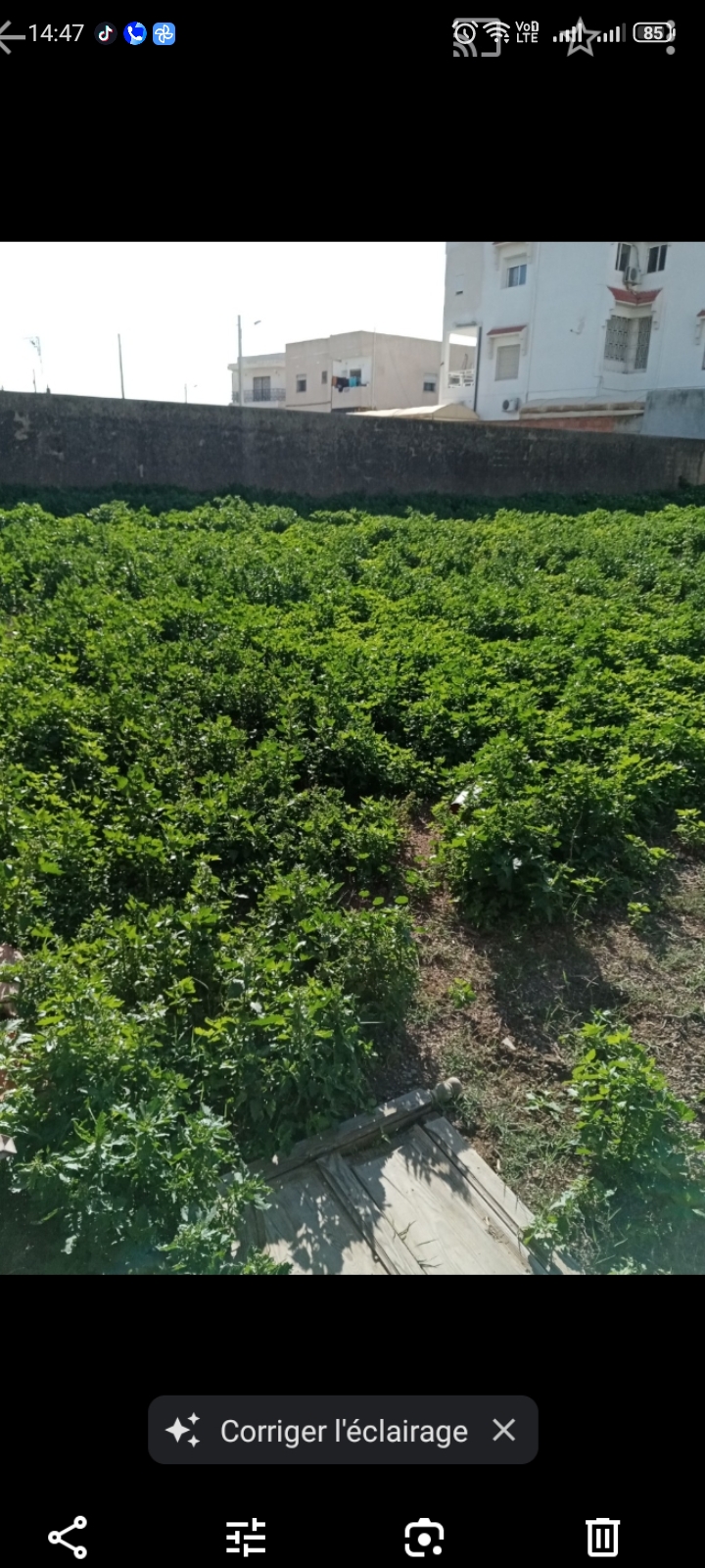 El Menzah&nbsp;El Manar 1&nbsp;Terrain&nbsp;Terrain nu&nbsp;Terrain nu