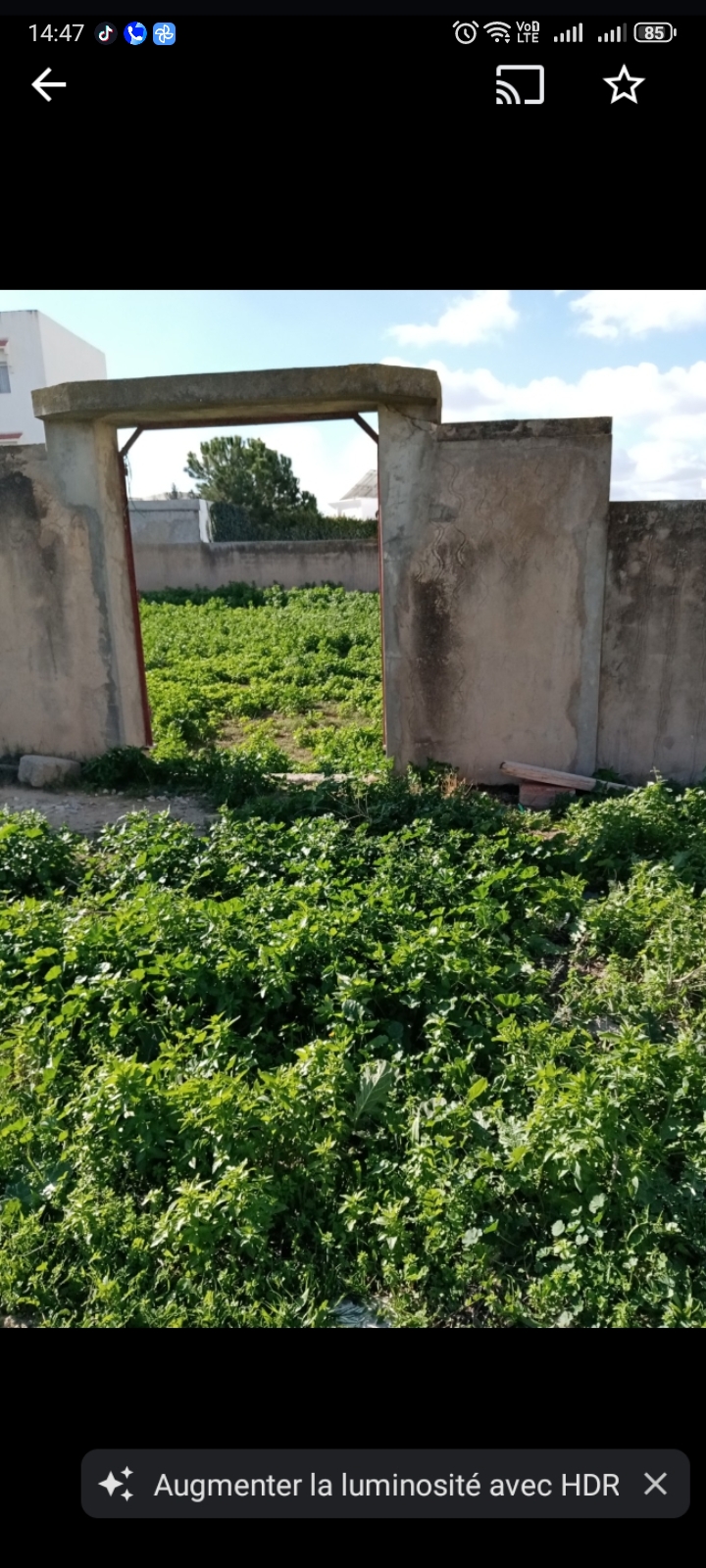 El Menzah&nbsp;El Manar 1&nbsp;Terrain&nbsp;Terrain nu&nbsp;Terrain nu