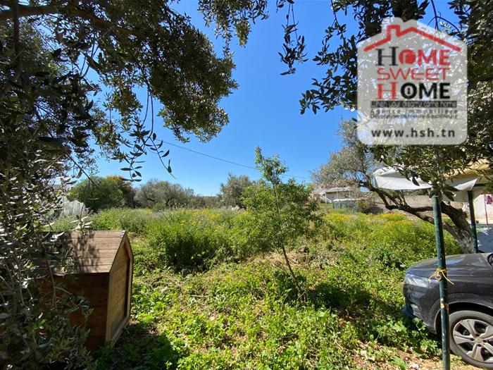 Raoued&nbsp;Borj Touil&nbsp;Vente&nbsp;Duplex&nbsp;Villa randa � borj touil