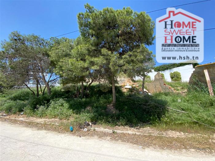 Kalaat Landlous&nbsp;Kalaat Landlous&nbsp;Vente&nbsp;Autre&nbsp;Terrain villa yahoo � riadh andalos