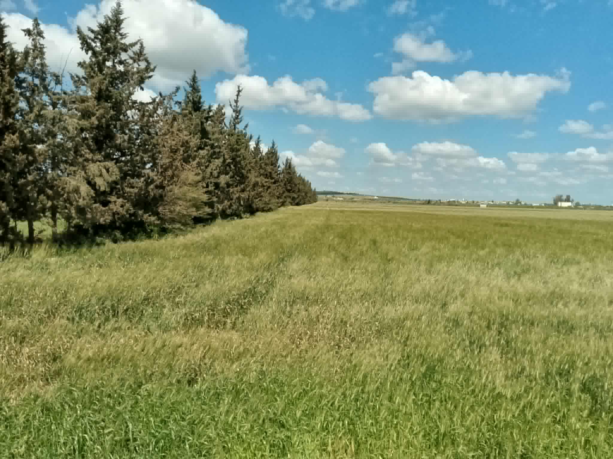 El Menzah&nbsp;El Manar 2&nbsp;Vente&nbsp;Surfaces&nbsp;Opportunit� d investissement � ne pas rater