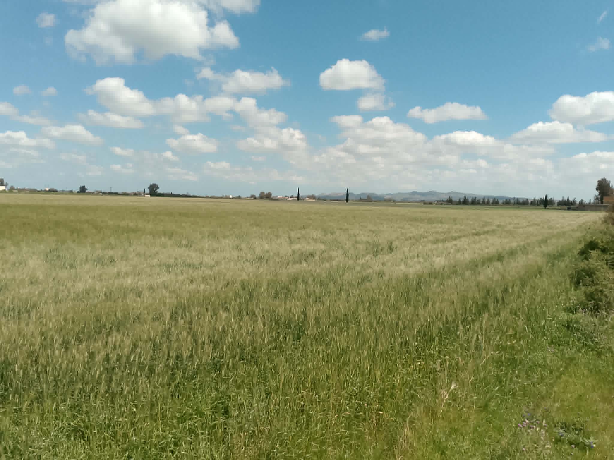 El Menzah&nbsp;El Manar 2&nbsp;Vente&nbsp;Surfaces&nbsp;Opportunit� d investissement � ne pas rater