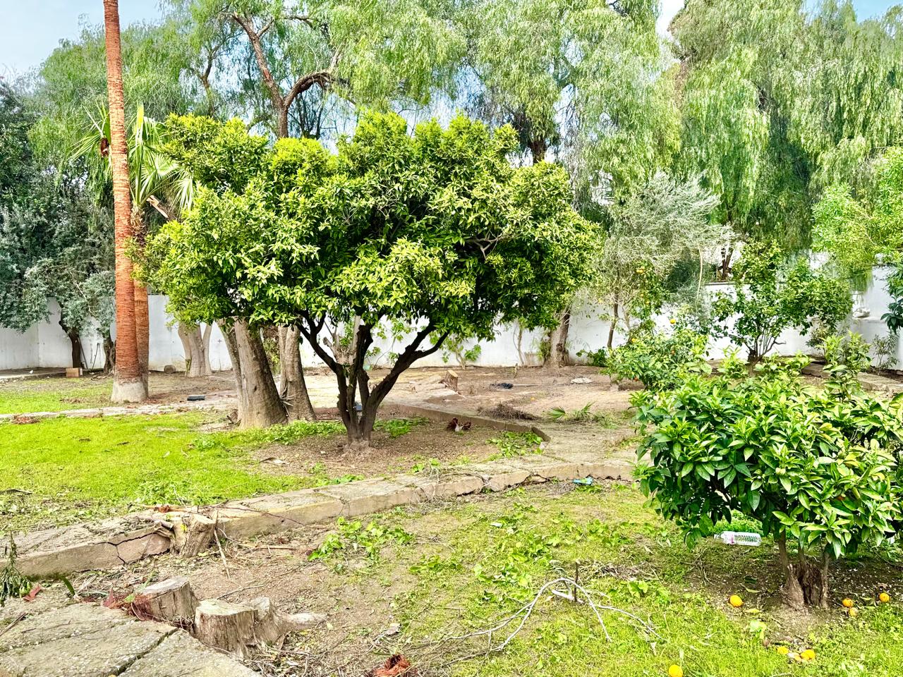 La Marsa&nbsp;Marsa Ennassim&nbsp;Location&nbsp;Appart. 4 pi�ces&nbsp;A usage bureautique une villa s4 avec jardin