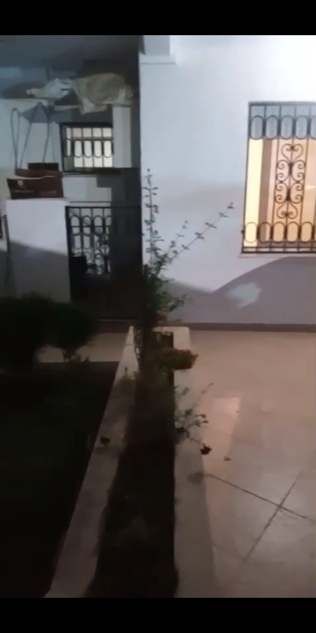 Ariana Ville&nbsp;Cite Ennasr 2&nbsp;Location&nbsp;Appart. 3 pi�ces&nbsp;Appt s2 rdc