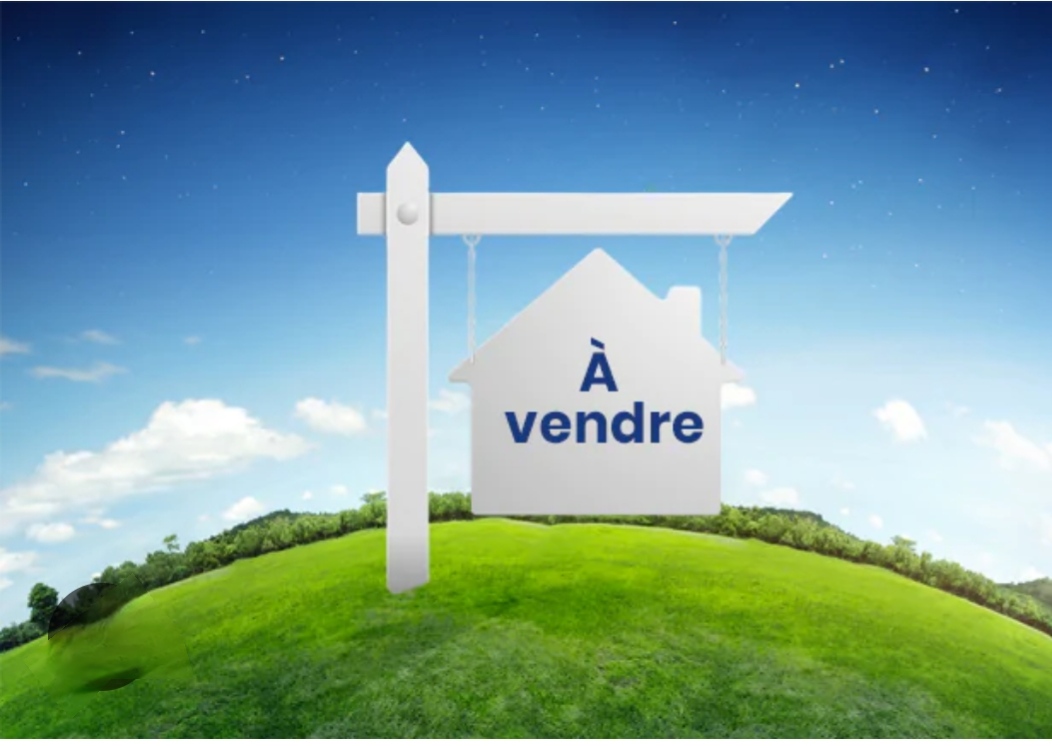 Carthage&nbsp;Carthage&nbsp;Terrain&nbsp;Terrain nu&nbsp;Terrain terrain