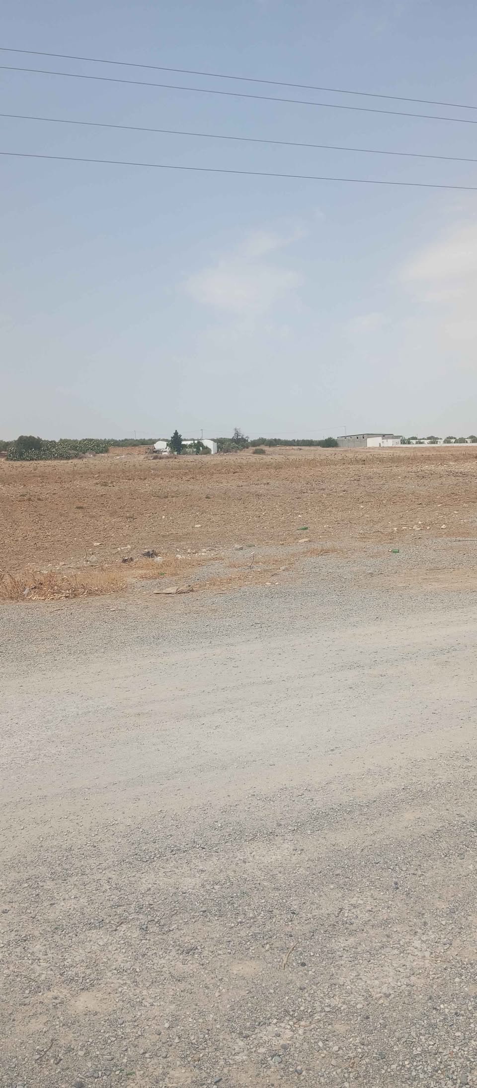 Borj El Amri&nbsp;Borj El Amri&nbsp;Terrain&nbsp;Terrain agricole&nbsp;Terrain bord de la route