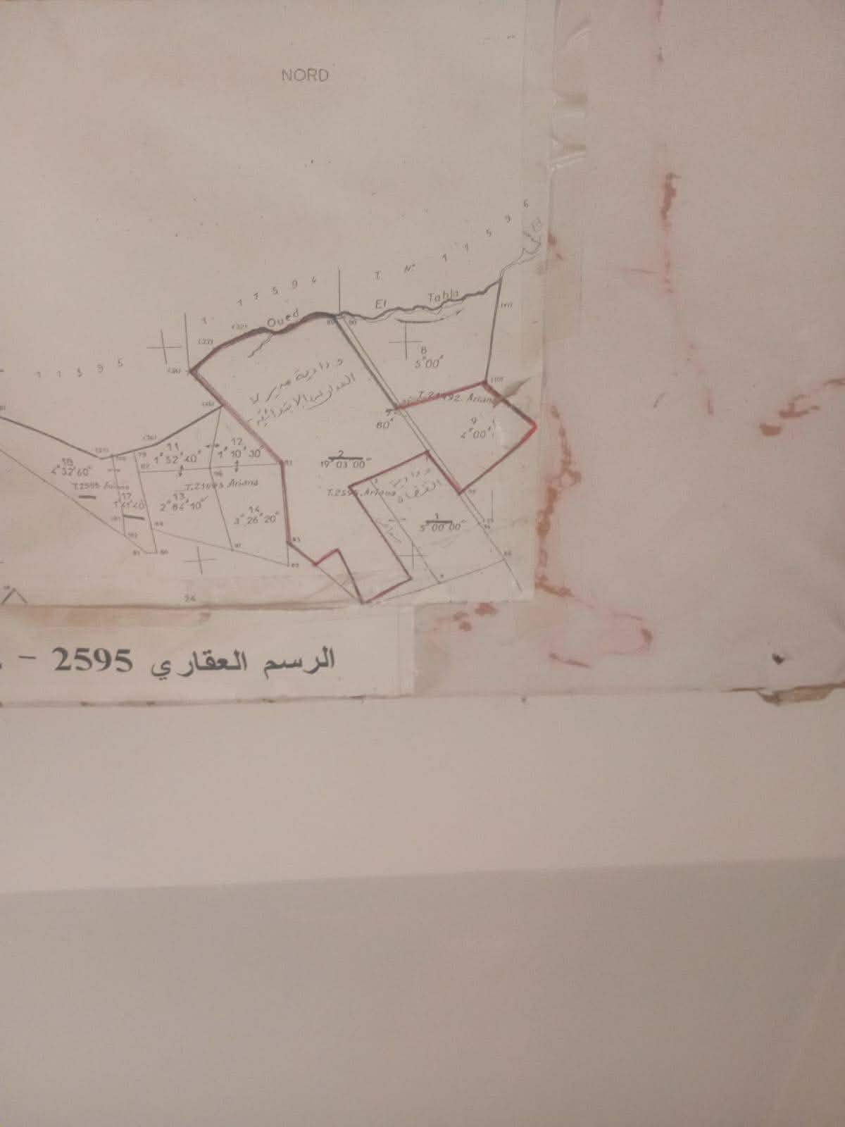 Ariana Ville&nbsp;Cite Ennasr 1&nbsp;Terrain&nbsp;Terrain nu&nbsp;Terrain ennasr 1 borj turki