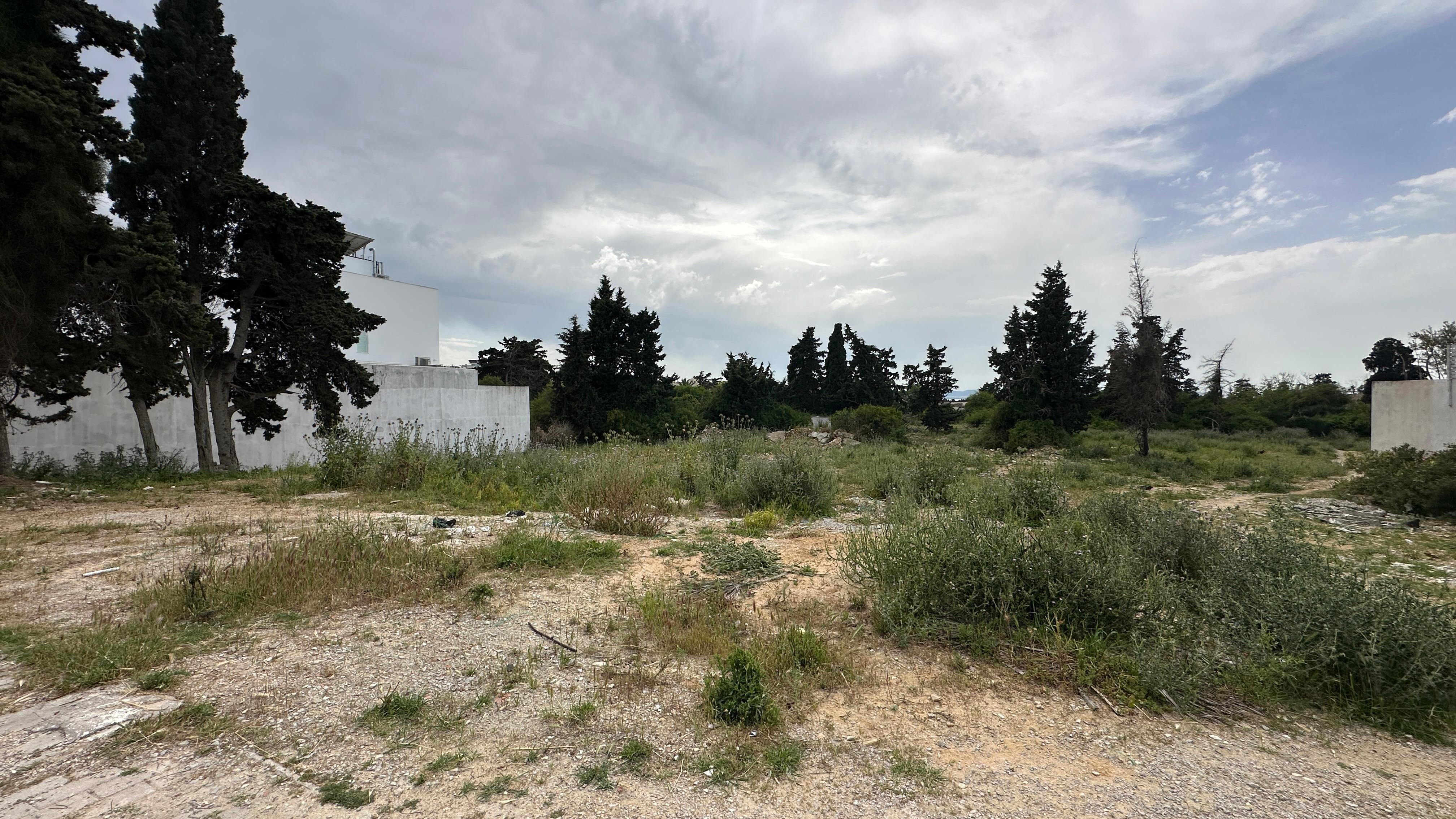 La Marsa&nbsp;Gammart&nbsp;Terrain&nbsp;Terrain nu&nbsp;Terrain 1700 md gammarth